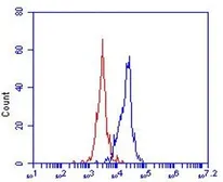 Anti-OLR1 / LOX-1 antibody [23C11] used in Flow cytometry (FACS). GTX54456