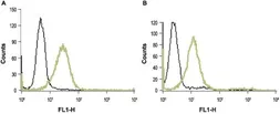 Anti-Thrombin Receptor antibody used in Flow cytometry (FACS). GTX54827