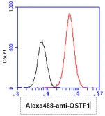 Anti-OSTF1 antibody [AT9G4] used in Flow cytometry (FCM). GTX57564