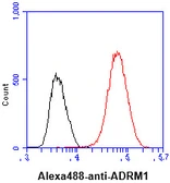 Anti-ADRM1 antibody [AT34C2] used in Flow cytometry (FACS). GTX57566