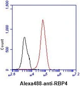 Anti-RBP4 antibody [AT2B4] used in Flow cytometry (FCM). GTX57569