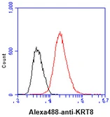 Anti-Cytokeratin 8 antibody [AT3D11] used in Flow cytometry (FACS). GTX57589