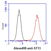 Anti-HIP antibody [AT5C6] used in Flow cytometry (FACS). GTX57598