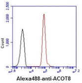 Anti-ACOT8 antibody [AT4D10] used in Flow cytometry (FACS). GTX57615