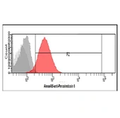 Anti-Peroxiredoxin 6 antibody [AT22E7] used in Flow cytometry (FCM). GTX57622