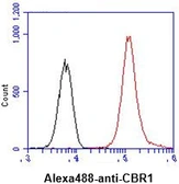 Anti-CBR1 antibody [AT2D6] used in Flow cytometry (FACS). GTX57624
