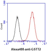 Anti-GSTT2 antibody [AT10H4] used in Flow cytometry (FCM). GTX57646