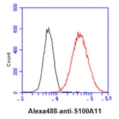 Anti-S100A11 antibody [AT20D11] used in Flow cytometry (FACS). GTX57683