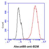 Anti-beta 2 Microglobulin antibody [AT101F10] used in Flow cytometry (FACS). GTX57686