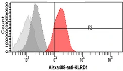 Anti-CD94 antibody [AT13E3] used in Flow cytometry (FACS). GTX57720