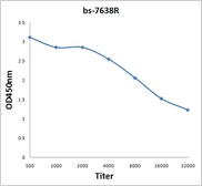 Anti-RHCG antibody used in ELISA (ELISA). GTX60193