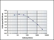 Anti-CBFb antibody - ChIP grade used in ELISA (ELISA). GTX60333