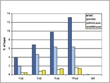 Anti-Histone H2A antibody - ChIP grade used in ChIP assay (ChIP assay). GTX60347