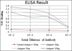 Anti-Aurora A antibody [1F8] used in ELISA (ELISA). GTX60391