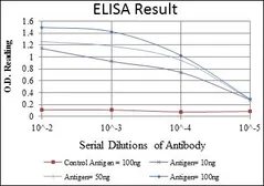 Anti-alpha Smooth Muscle Actin antibody [1H8] used in ELISA (ELISA). GTX60393