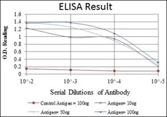 Anti-RUNX1 antibody [5A1] used in ELISA (ELISA). GTX60402