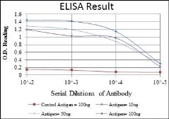 Anti-AMPK alpha 1 antibody [2B7] used in ELISA (ELISA). GTX60403