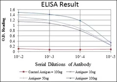 Anti-CD94 antibody [3G2] used in ELISA (ELISA). GTX60406