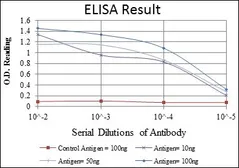 Anti-Human Papillomavirus type 16 E7 antibody [6F3] used in ELISA (ELISA). GTX60410