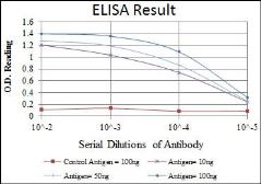 Anti-CDC2 antibody [5A6] used in ELISA (ELISA). GTX60411