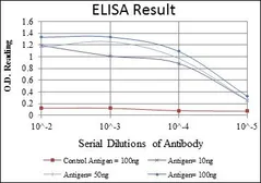 Anti-Cortactin antibody [4C6] used in ELISA (ELISA). GTX60419