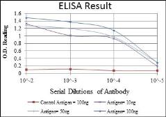 Anti-LHX2 antibody [6G2] used in ELISA (ELISA). GTX60422
