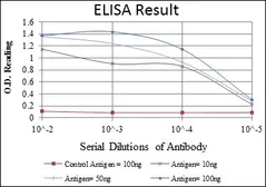 Anti-GRK2 antibody [3F8] used in ELISA (ELISA). GTX60430