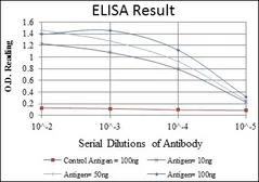 Anti-CDK5 antibody [4E4] used in ELISA (ELISA). GTX60441