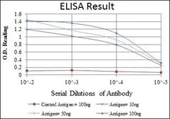 Anti-ABCG2 antibody [3G8] used in ELISA (ELISA). GTX60447