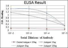 Anti-SMN1 antibody [2F1] used in ELISA (ELISA). GTX60451