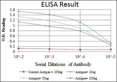 Anti-FYN antibody [2H8] used in ELISA (ELISA). GTX60461