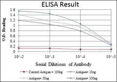 Anti-NFkB p105/p50 antibody [5D10D11] used in ELISA (ELISA). GTX60465
