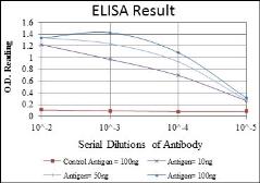 Anti-alpha Smooth Muscle Actin antibody [4A4] used in ELISA (ELISA). GTX60466