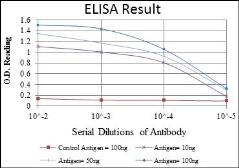 Anti-CBL antibody [3B12] used in ELISA (ELISA). GTX60481