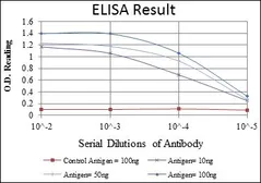 Anti-c-Jun antibody [4H9] used in ELISA (ELISA). GTX60485
