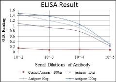Anti-PSMB8 antibody [1A5] used in ELISA (ELISA). GTX60486