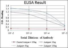 Anti-GATA5 antibody [1B11] used in ELISA (ELISA). GTX60493