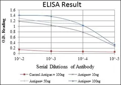Anti-FOXP2 antibody [5C11A2] used in ELISA (ELISA). GTX60500