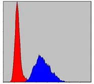 Anti-Troponin I fast skeletal muscle antibody [2F12A11] used in Flow cytometry (FACS). GTX60507