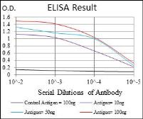 Anti-IL1 beta antibody [3A6] used in ELISA (ELISA). GTX60513