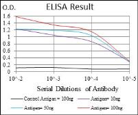 Anti-Survivin antibody [1H5] used in ELISA (ELISA). GTX60534