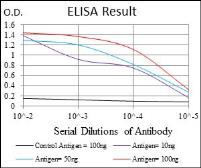 Anti-PPP1A antibody [5E9] used in ELISA (ELISA). GTX60538