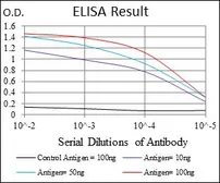 Anti-PPP2R4 antibody [4D9] used in ELISA (ELISA). GTX60539