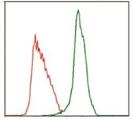 Anti-TPOR antibody [1H2] used in Flow cytometry (FCM). GTX60540