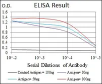 Anti-MMP3 antibody [4F10] used in ELISA (ELISA). GTX60542