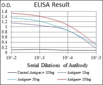 Anti-NEDD8 antibody [1A7] used in ELISA (ELISA). GTX60545