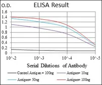 Anti-Ubiquitin B antibody [3C12] used in ELISA (ELISA). GTX60548