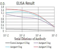 Anti-COTL1 antibody [5C8] used in ELISA (ELISA). GTX60551
