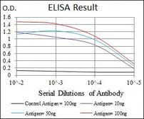 Anti-Fibronectin antibody [2F4] used in ELISA (ELISA). GTX60570