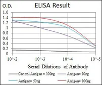 Anti-PDX1 antibody [2G12] used in ELISA (ELISA). GTX60575
